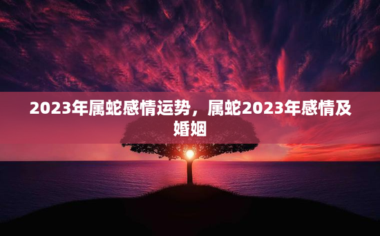 2023年属蛇感情运势，属蛇2023年感情及婚姻