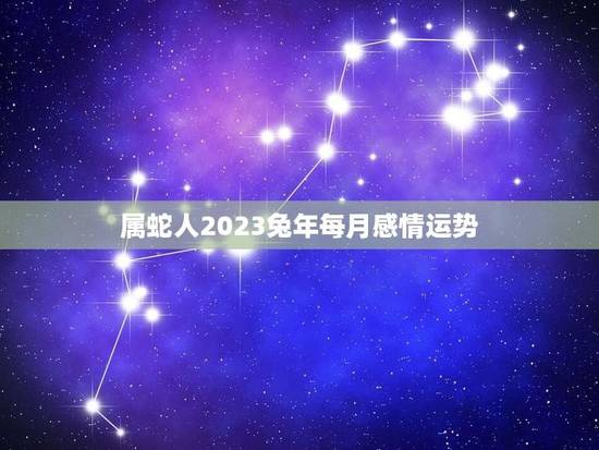 属蛇人2023兔年每月感情运势(如何把握爱情机会)
