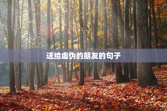 送给虚伪的朋友的句子