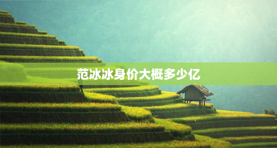 范冰冰身价大概多少亿