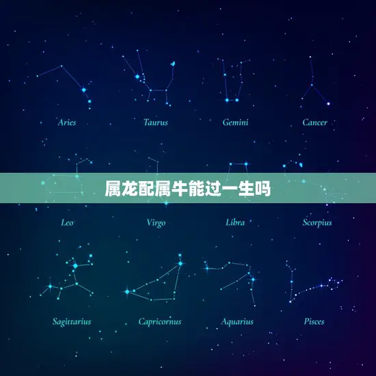属龙配属牛能过一生吗