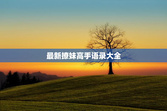 最新撩妹高手语录大全