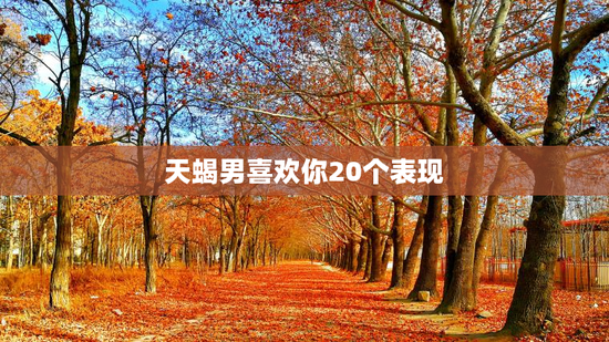 天蝎男喜欢你20个表现