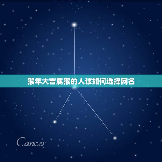 猴年大吉属猴的人该如何选择网名