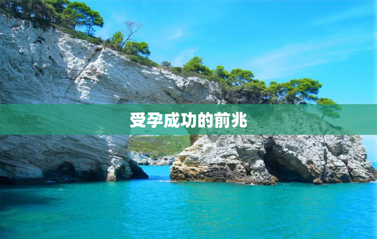 受孕成功的前兆