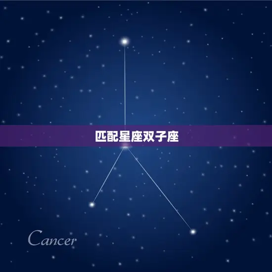 匹配星座双子座