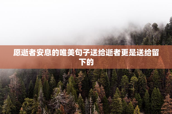 愿逝者安息的唯美句子送给逝者更是送给留下的