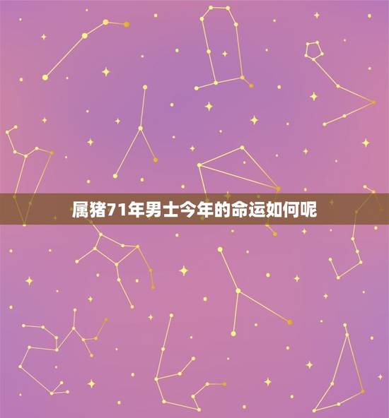 属猪71年男士今年的命运如何呢(介绍2023年属猪71年男士的运势)