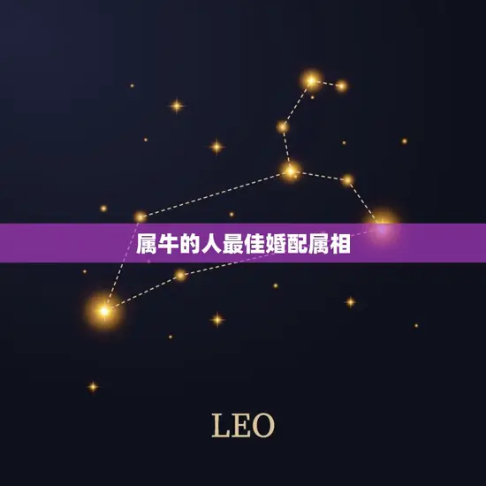 属牛的人最佳婚配属相