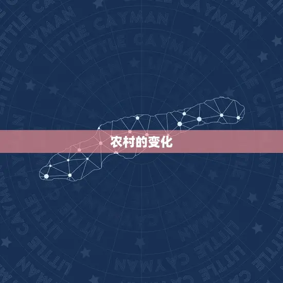 农村的变化