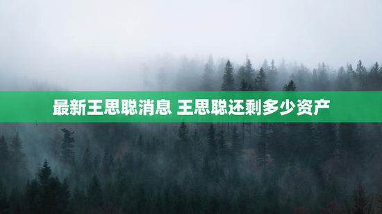 最新王思聪消息 王思聪还剩多少资产
