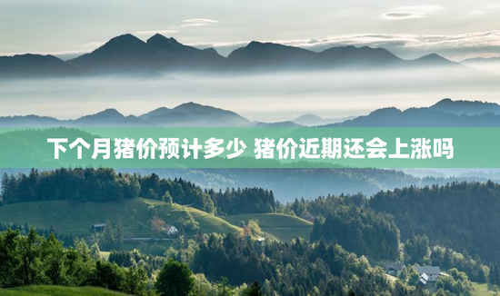 下个月猪价预计多少 猪价近期还会上涨吗