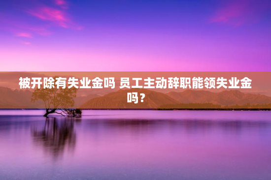 被开除有失业金吗 员工主动辞职能领失业金吗？