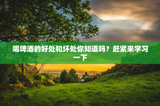 喝啤酒的好处和坏处你知道吗？赶紧来学习一下