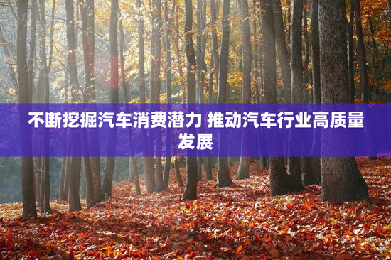 不断挖掘汽车消费潜力 推动汽车行业高质量发展