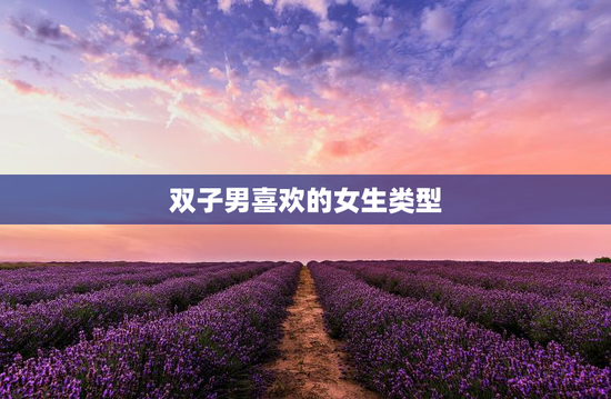 双子男喜欢的女生类型