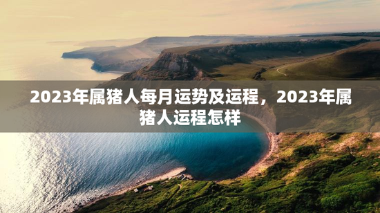 2023年属猪人每月运势及运程，2023年属猪人运程怎样