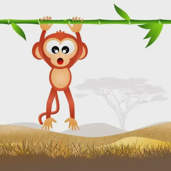 生肖猴桃花运走势