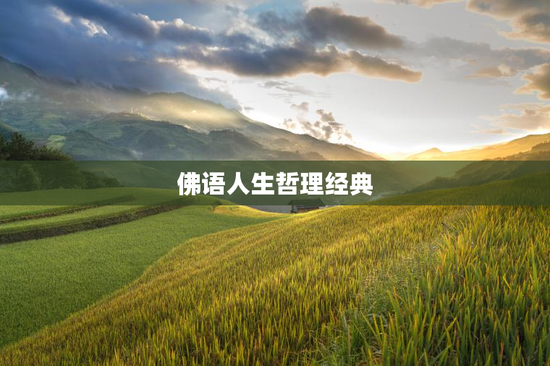 佛语人生哲理经典