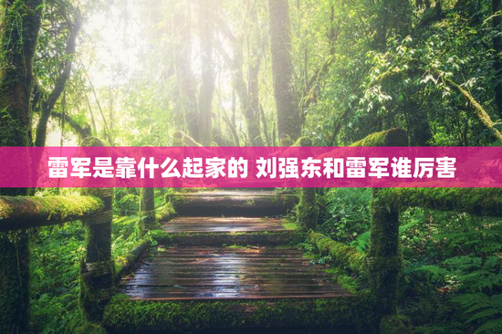 雷军是靠什么起家的 刘强东和雷军谁厉害