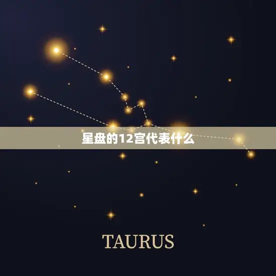 星盘的12宫代表什么