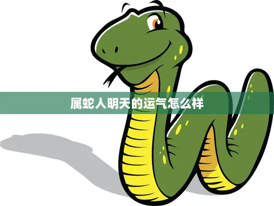 属蛇人明天的运气怎么样(预测好运连连财运亨通)