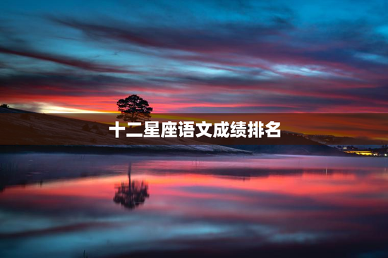 十二星座语文成绩排名