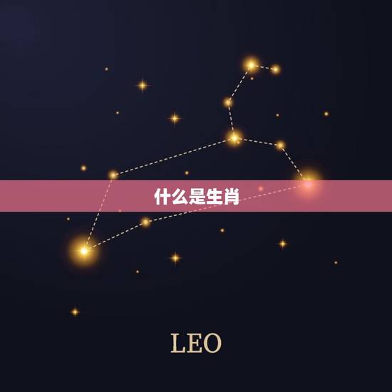 什么是生肖