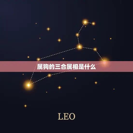 属狗的三合属相是什么