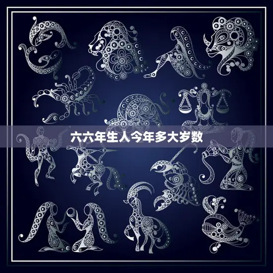 六六年生人今年多大岁数(揭秘六六年生人的年龄之谜)