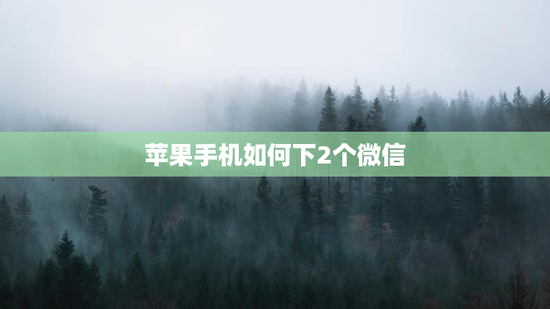 苹果手机如何下2个微信