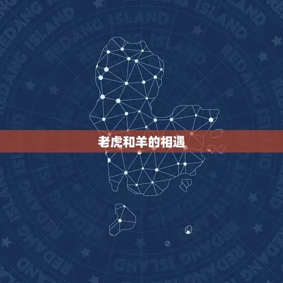 老虎和羊的相遇