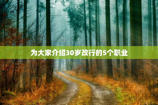 为大家介绍30岁改行的5个职业