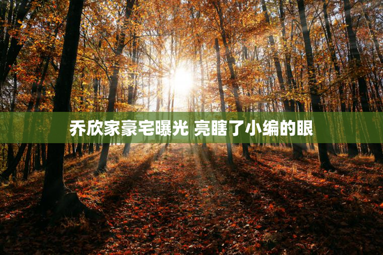 乔欣家豪宅曝光 亮瞎了小编的眼