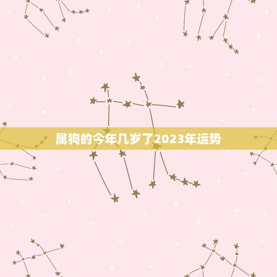 属狗的今年几岁了2023年运势(狗年逆袭2023年财运亨通)