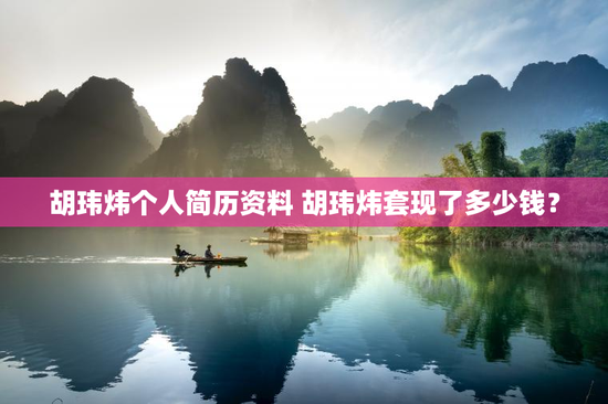 胡玮炜个人简历资料 胡玮炜套现了多少钱？