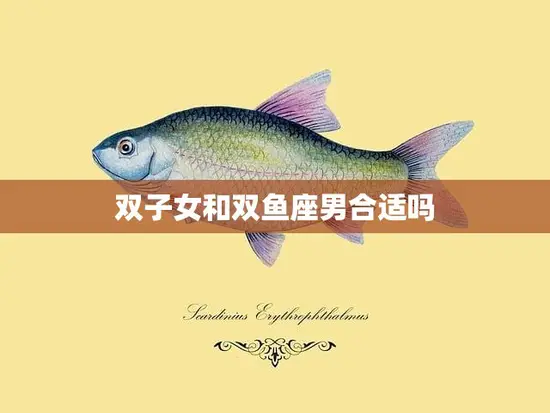 双子女和双鱼座男合适吗(星座配对分析)