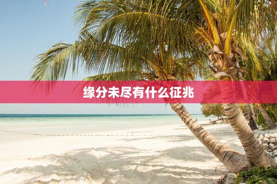 缘分未尽有什么征兆