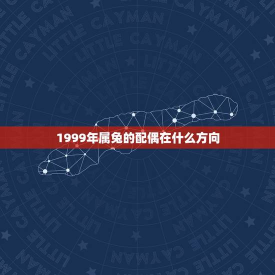 1999年属兔的配偶在什么方向(根据生肖配对，解读兔年配偶方位)