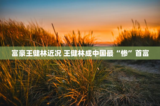 富豪王健林近况 王健林成中国最“惨”首富