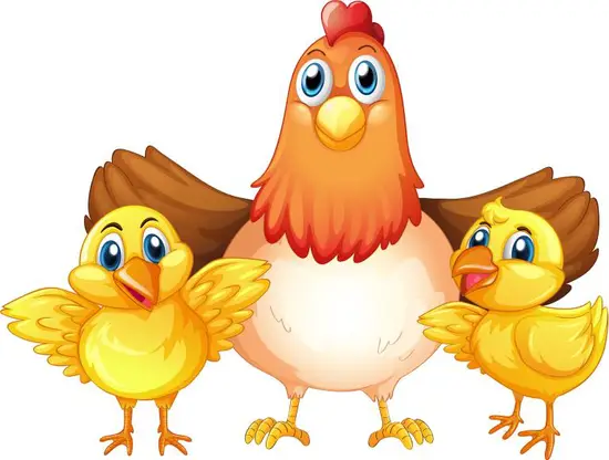 1993年属鸡的命运女(命中注定的辉煌之路)