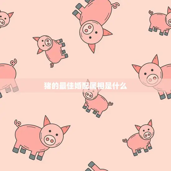 猪的最佳婚配属相是什么(寻找完美的伴侣)