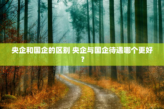 央企和国企的区别 央企与国企待遇哪个更好？