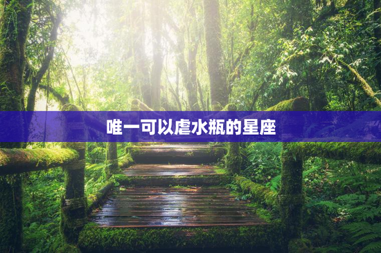 唯一可以虐水瓶的星座