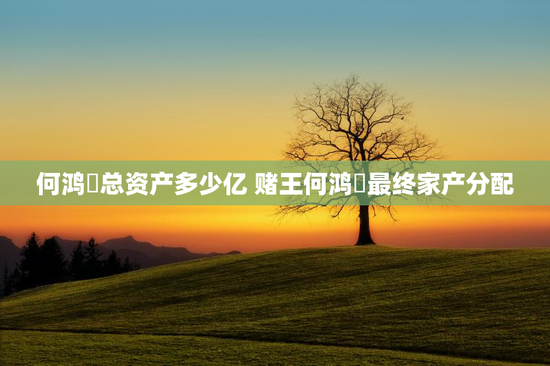 何鸿燊总资产多少亿 赌王何鸿燊最终家产分配