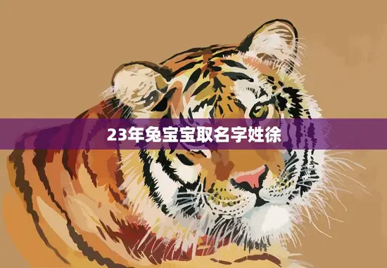 23年兔宝宝取名字姓徐(如何选择最佳名字)
