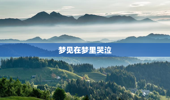 梦见在梦里哭泣