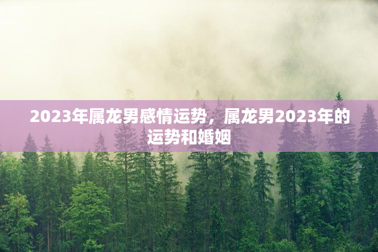 2023年属龙男感情运势，属龙男2023年的运势和婚姻