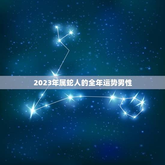 2023年属蛇人的全年运势男性(事业稳步上升感情顺利发展)