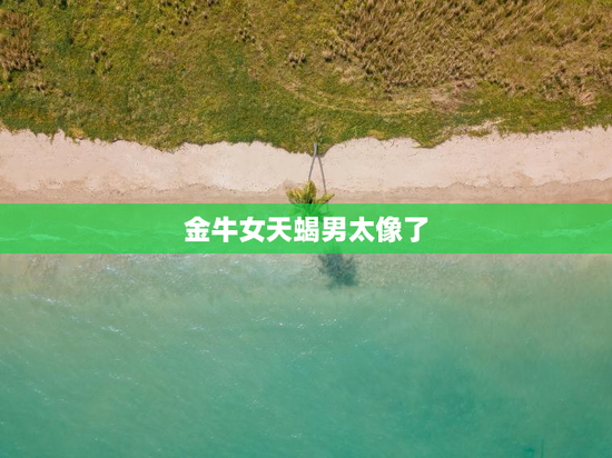 金牛女天蝎男太像了